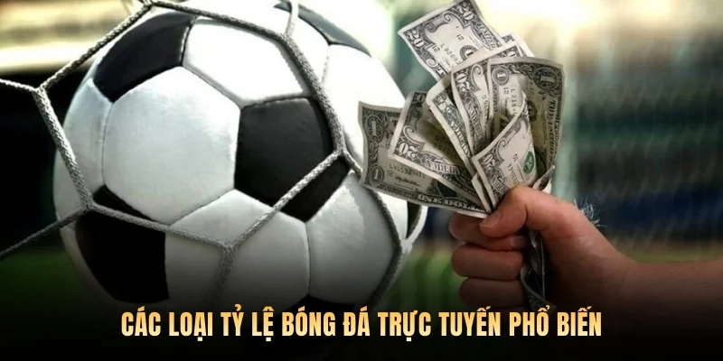 Các loại tỷ lệ bóng đá trực tuyến phổ biến