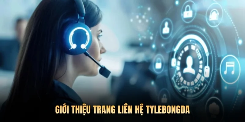 Giới thiệu trang liên hệ Tylebongda