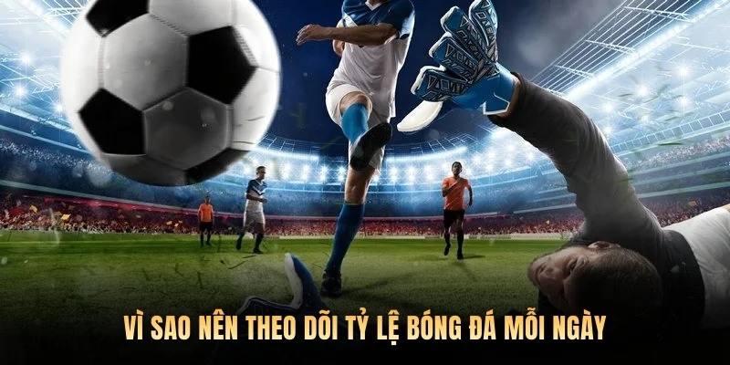 Vì sao nên theo dõi Tỷ Lệ Bóng Đá mỗi ngày